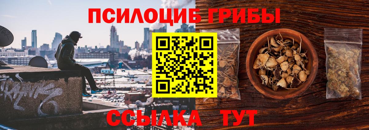 Галлюциногенные грибы прущие грибы Тулун